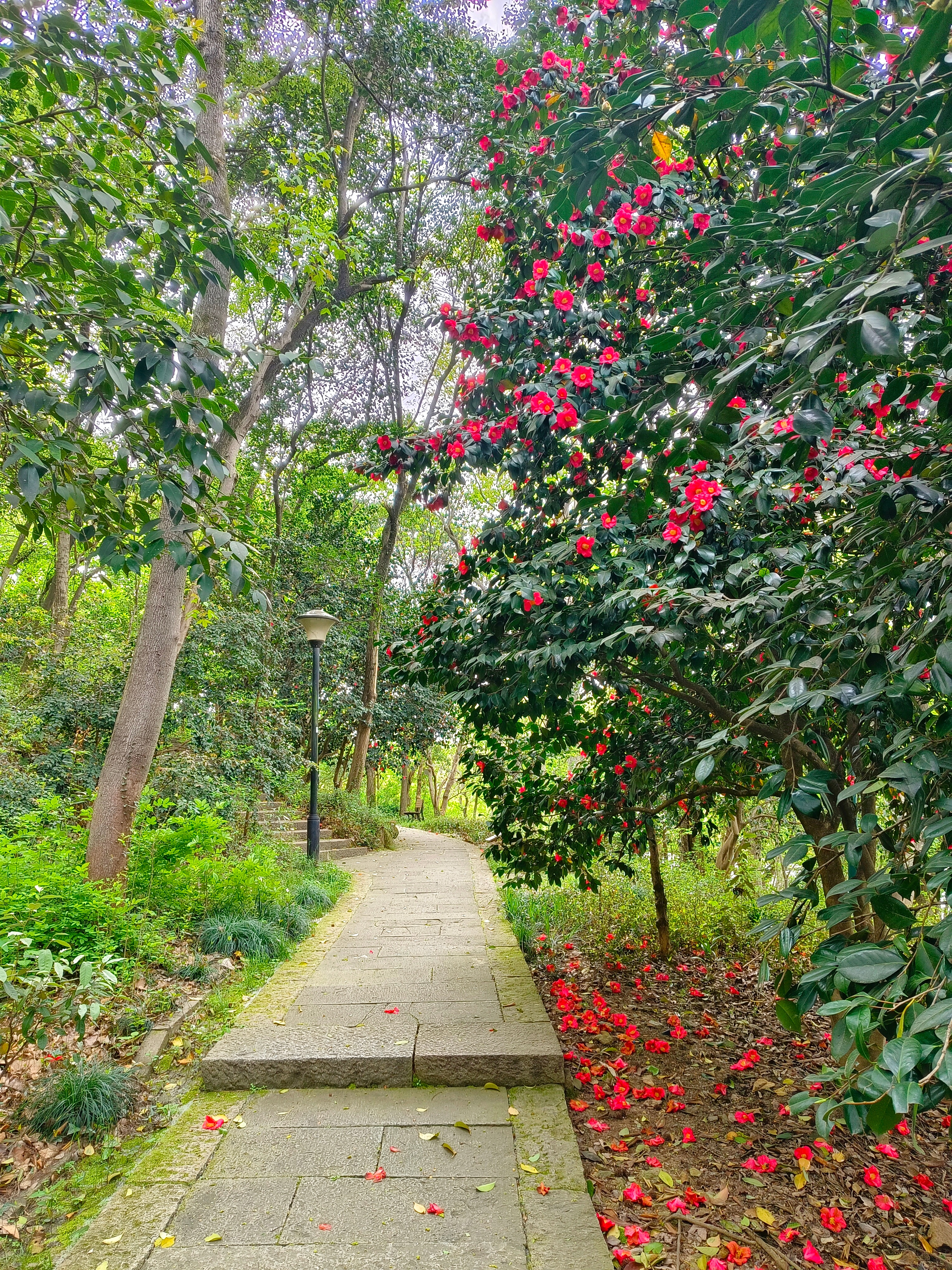 《杭州日记》 杭州