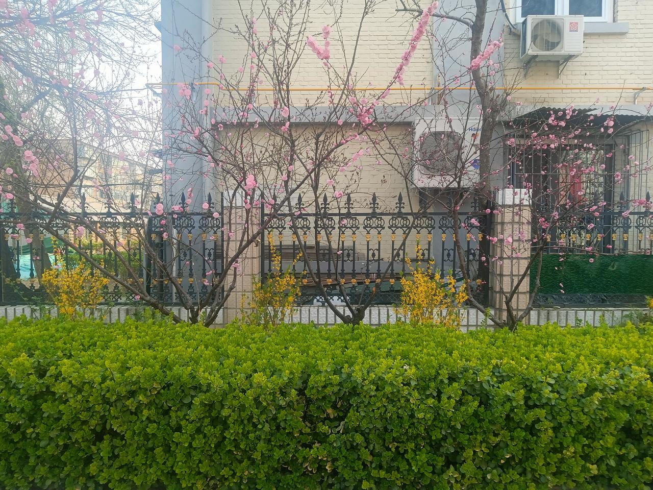 绿色配鲜花，一个字“绝”了！