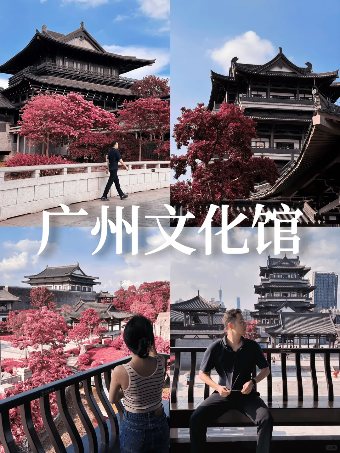 广州文化馆打卡攻略，穿越千年的盛唐之旅