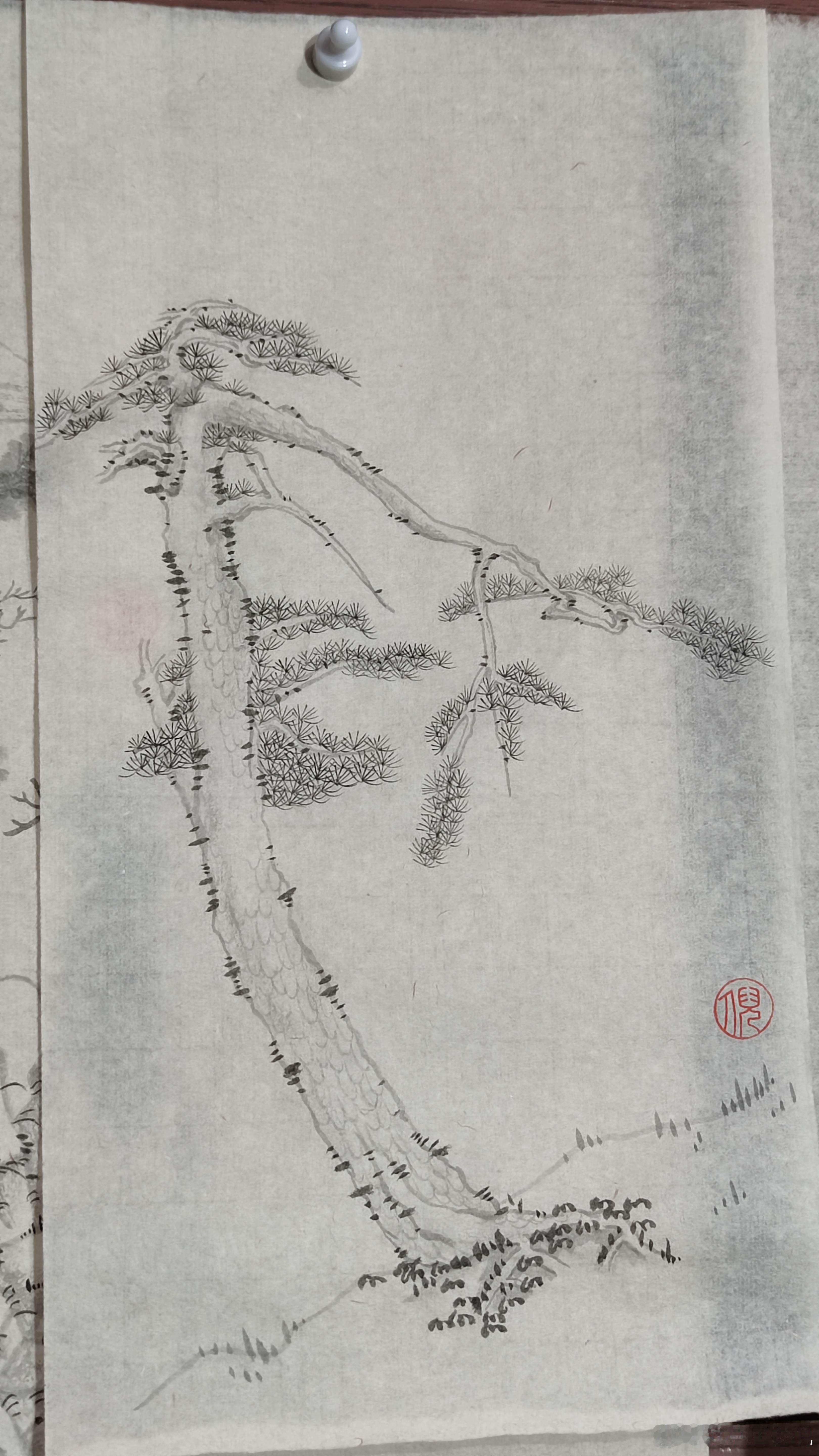 松柏本孤直，难为桃李颜 ​​​