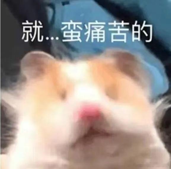 没人告诉我惠州人均运动大师  宅家运动节 惠州真是个宝藏城市！物价低，海滨美，吃