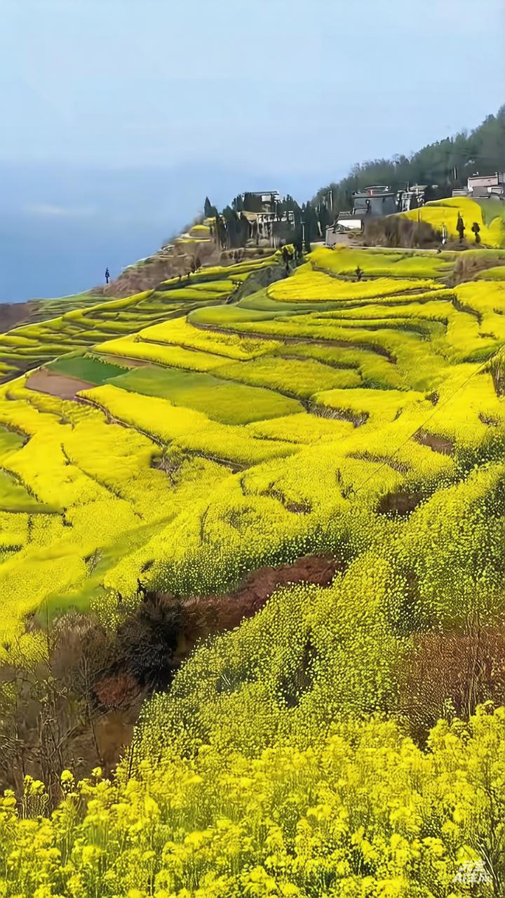 一些可能的考虑包括：

兴趣和热情：如果工作是自己热爱的事情，即使不缺钱，也可能