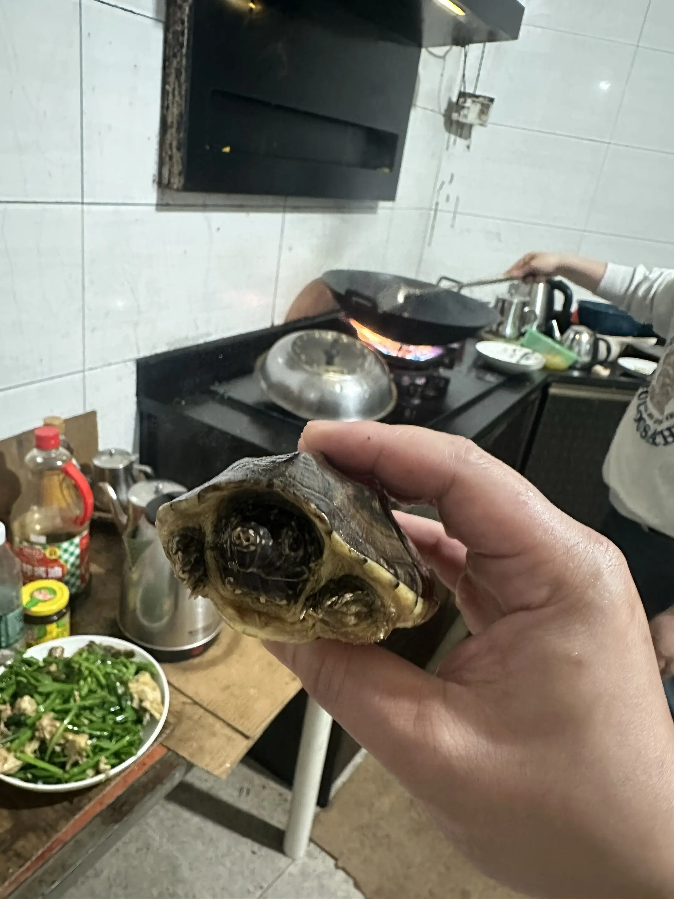 15块在本地鱼摊买的，煲汤太小。又不吃不吃青菜？求助各位钓鱼养龟佬，是...