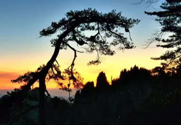 独醉花前酒，思乡月满楼。


　　恨无由，水东流，明月清风伴我愁，梦醒时分人已去