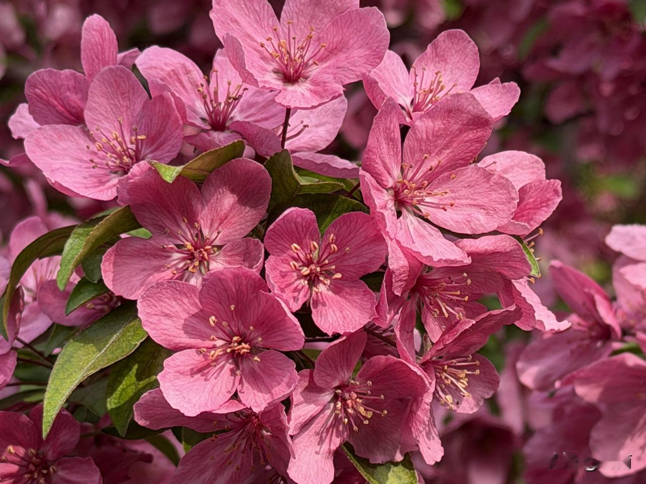 老年生活感悟：人到晚年，管好自己的嘴巴，少说话，也是一种智慧。

日子过得越久越