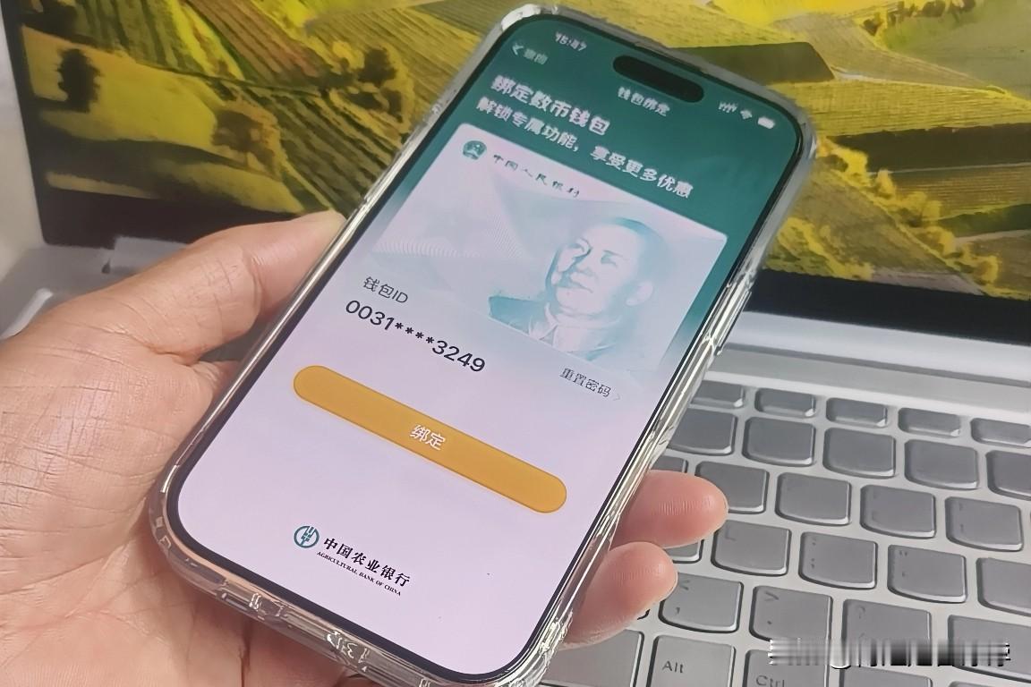平时咱们去超市，或者是在水果、蔬菜摊都是可以支付的，而且没有网络也能正常使用。
