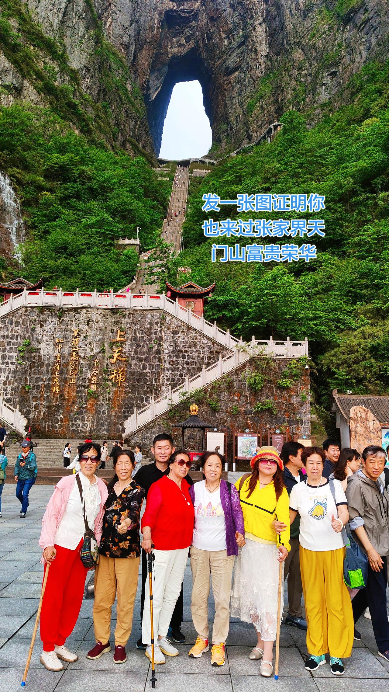 天门山的台阶多到让我怀疑人生，腿抖得比我的WiFi信号还不稳定。别人爬山是健身，