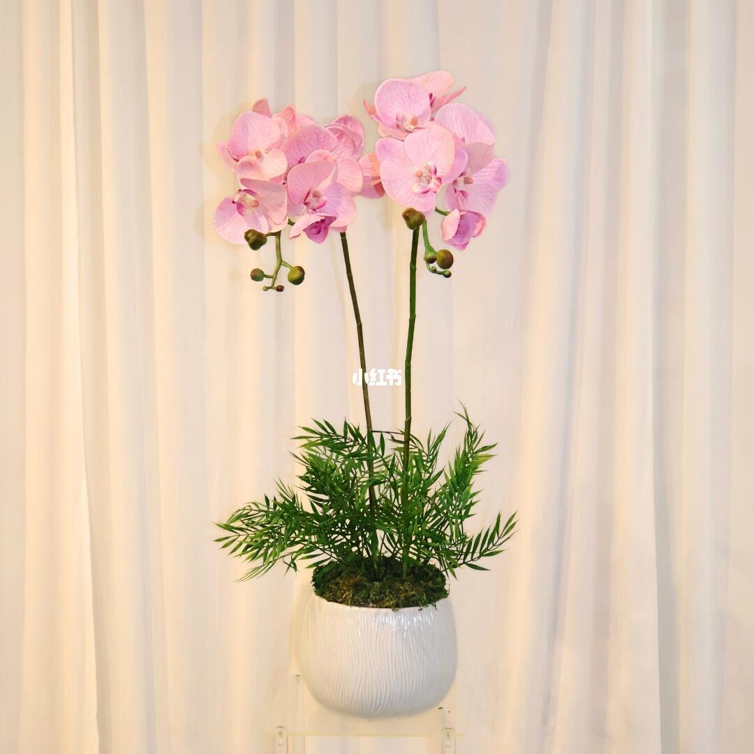 吃花，真的合适吗？