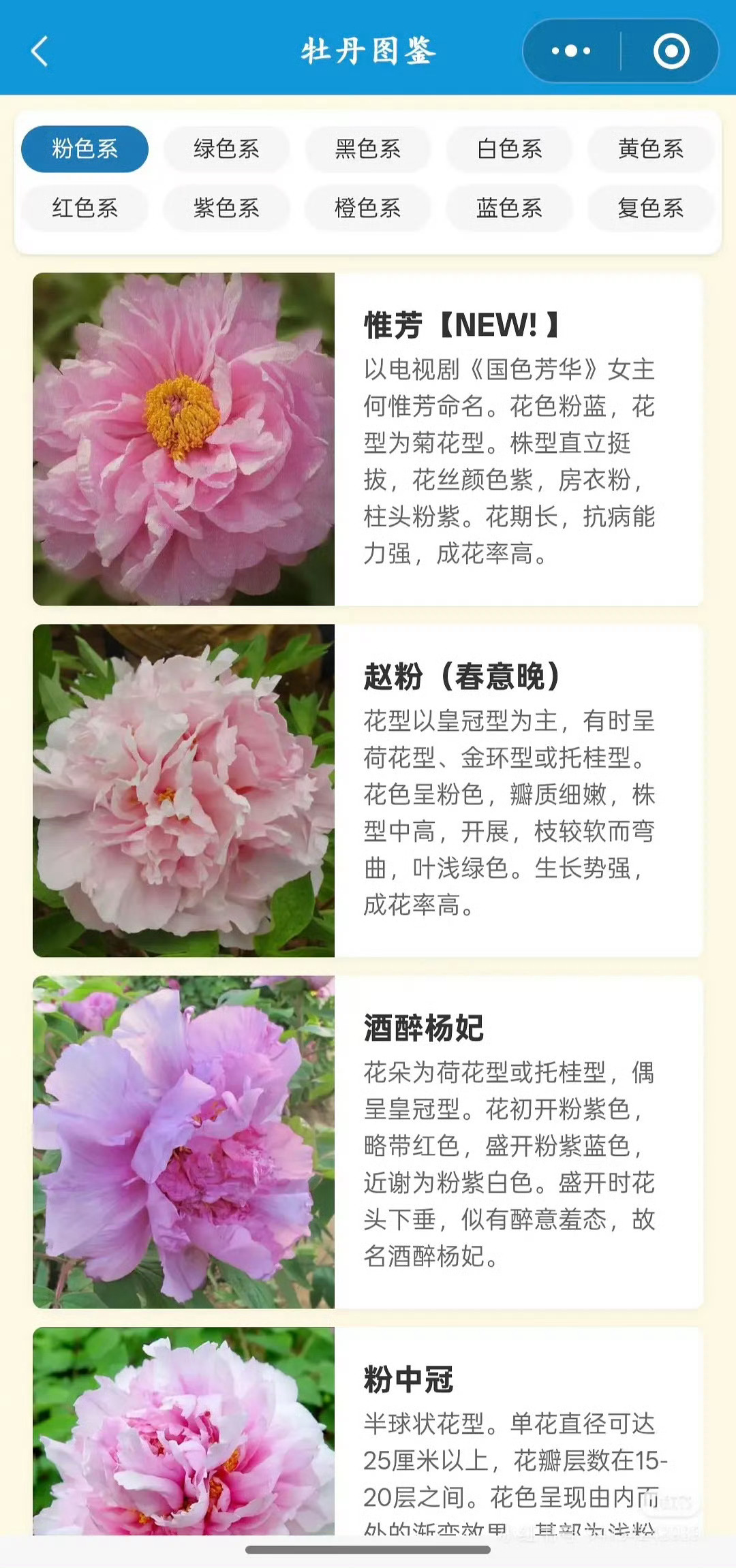 杨紫粉丝为了剧开发了个小程序…. 牛的 ​​​