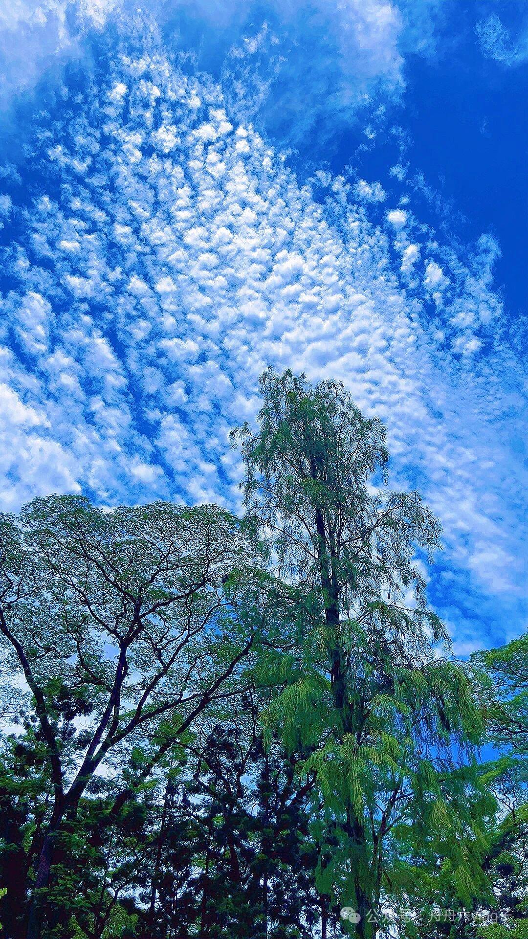 最聪明的星座就是天蝎座，
天蝎座的智商非常高，
非常细腻，
对事情的判断非常准确