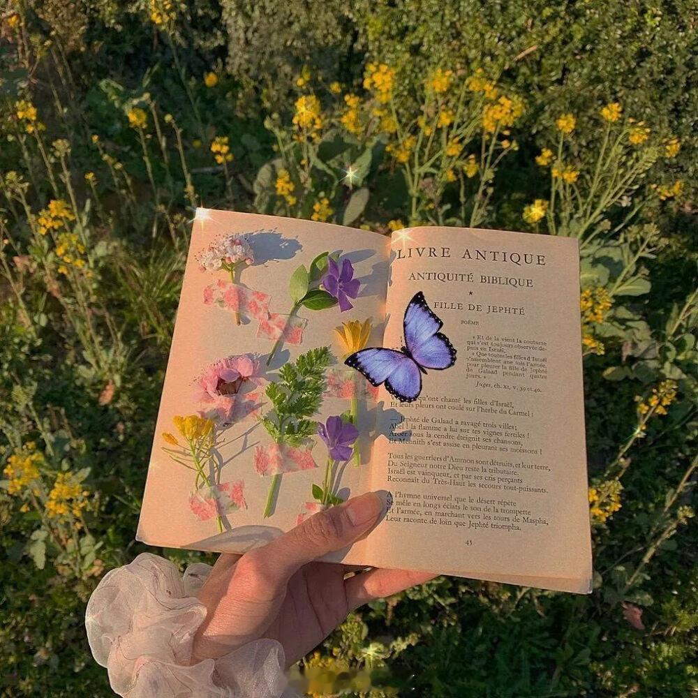 你是别人口中的怪物，但是我的蓝色小玫瑰。——吞鱼《猫猫a也是a！》晚安 推文 ​