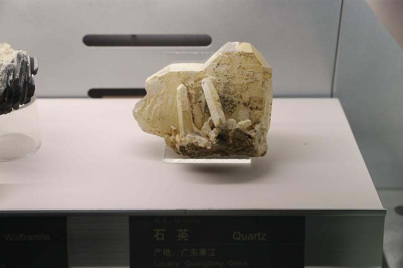 美国怕啥来啥！中国有重要发现，有助于降低对美进口依赖

《南华早报》6月8日报道