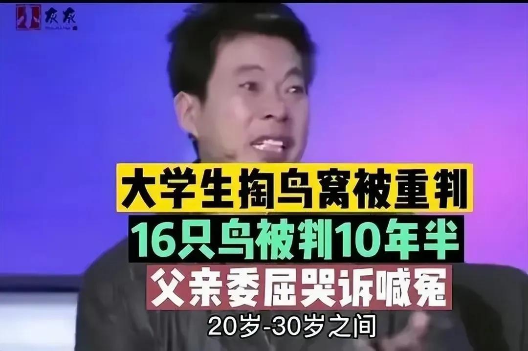 2014年，河南一大学生因掏鸟窝被判刑10年，罚款1万元，父亲声泪俱下地说：“判