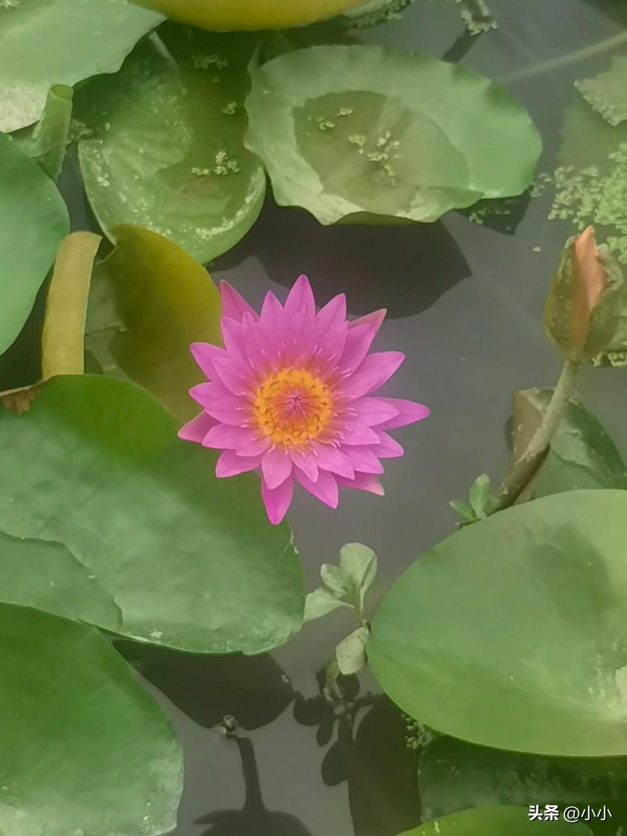 今天偶然在厕所撞见领导，她蹲在角落里崩溃大哭，看得我心里五味杂陈。
 
平时在车