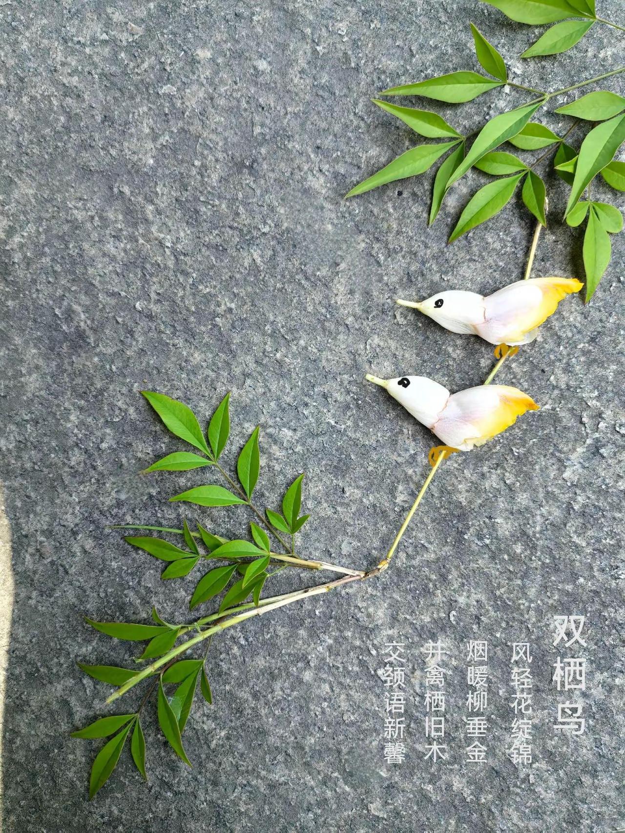 双栖鸟（花叶拼）风轻花绽锦，烟暖柳垂金。并禽栖旧木，交颈语新馨。影叠春枝颤，音融
