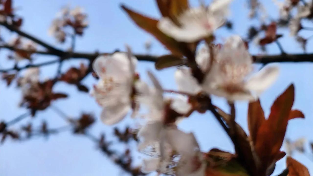 如今的老板愈发“内卷”，打工人挣钱愈发艰难。
就拿我们公司来说，2022年9月之