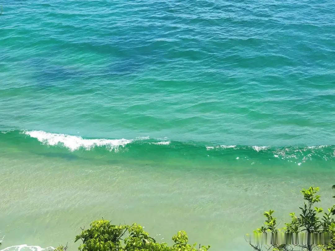 深圳东部海域藏着不少海景格外秀美的小众去处，以前没有太多的游客，如今自驾前往居然