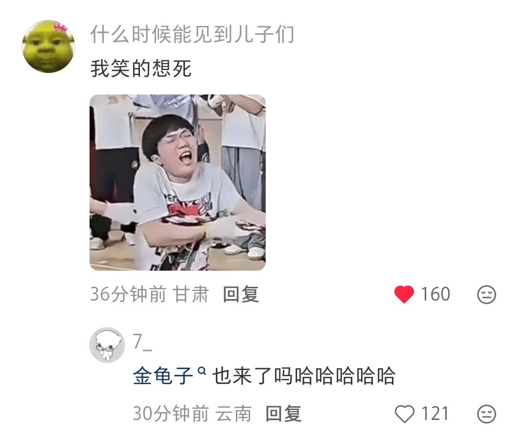 啊啊啊啊啊啊啊啊金龟子 