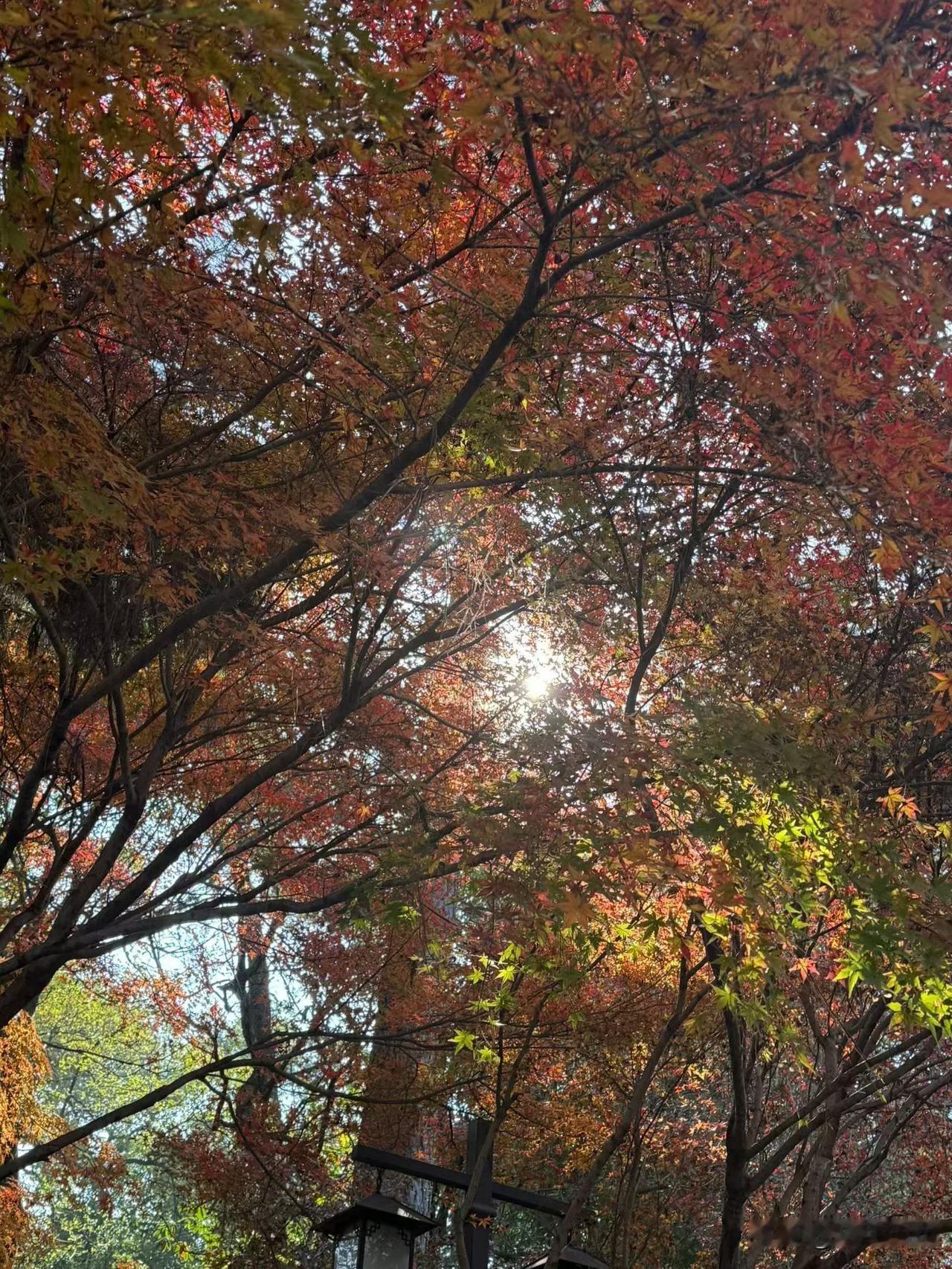几个月前，我们单位发生了一件让所有人唏嘘不已的事。

老曾，一个公认的业务骨干，