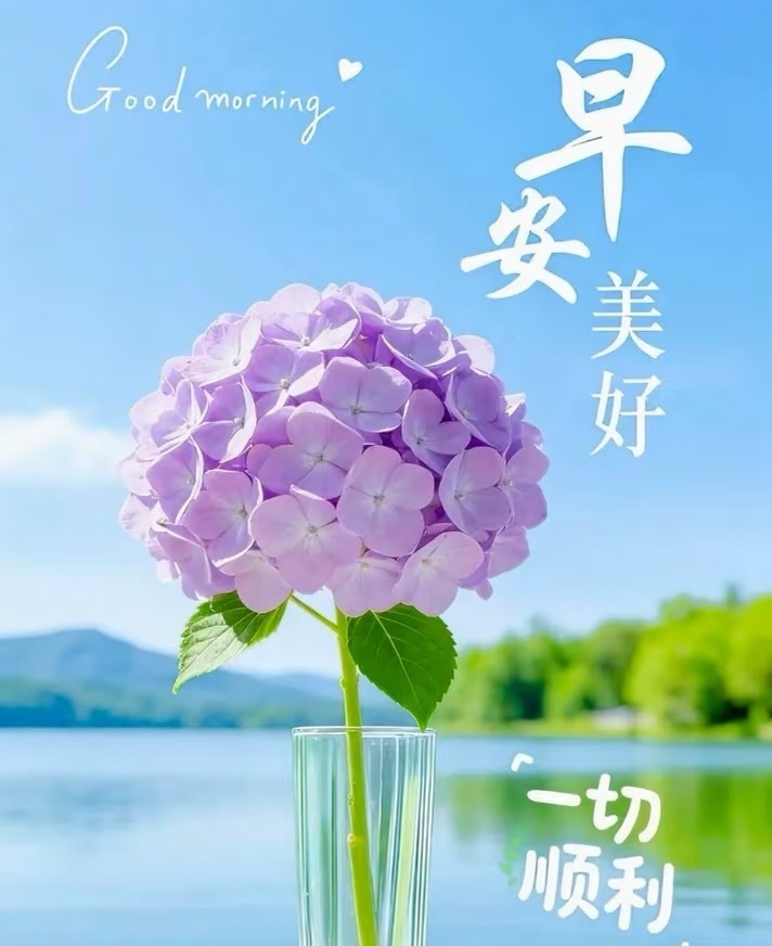 早安  生活有晴有雨，日子有苦有甜。愿你用一颗柔软的心，去看世界的可爱，也用一份