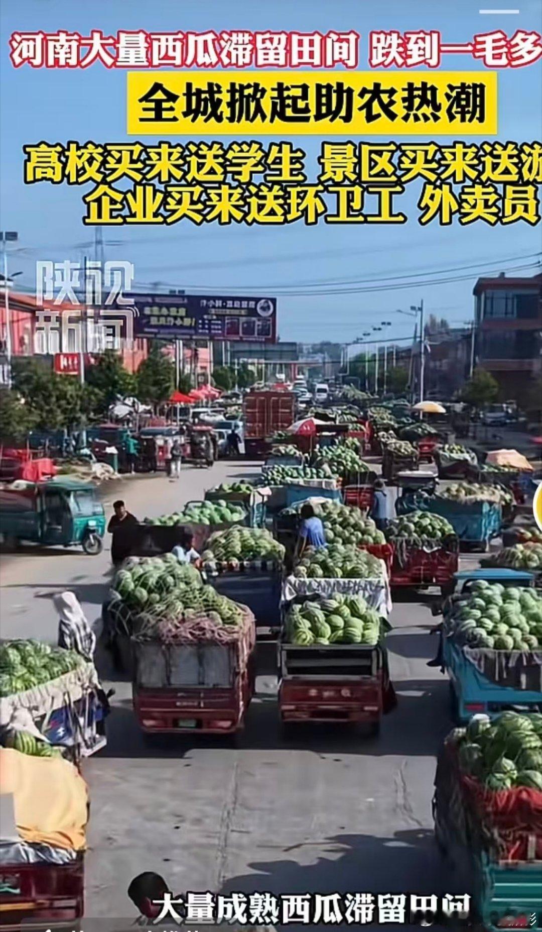 河南西瓜滞销原因热点观点 【自产自销才是当下的正解】年年丰产年年愁，河南西瓜滞销