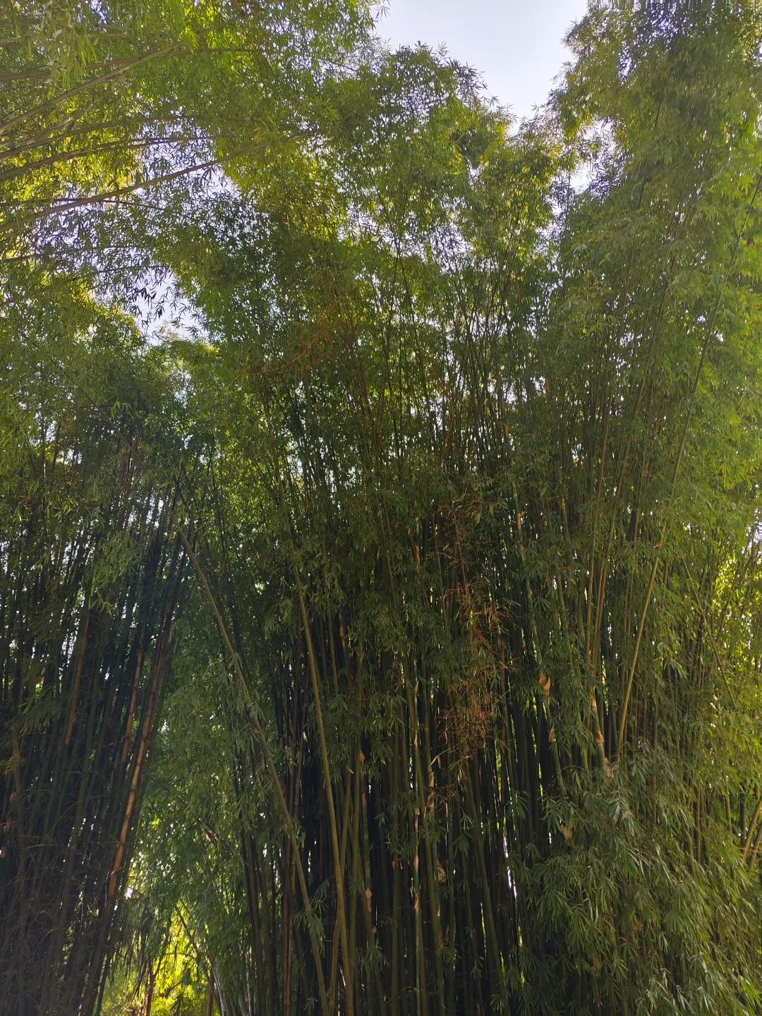 六零后的人生感悟（三）
在你的人生历程里，当你遭遇小挫折的时候，有些人表面上在安