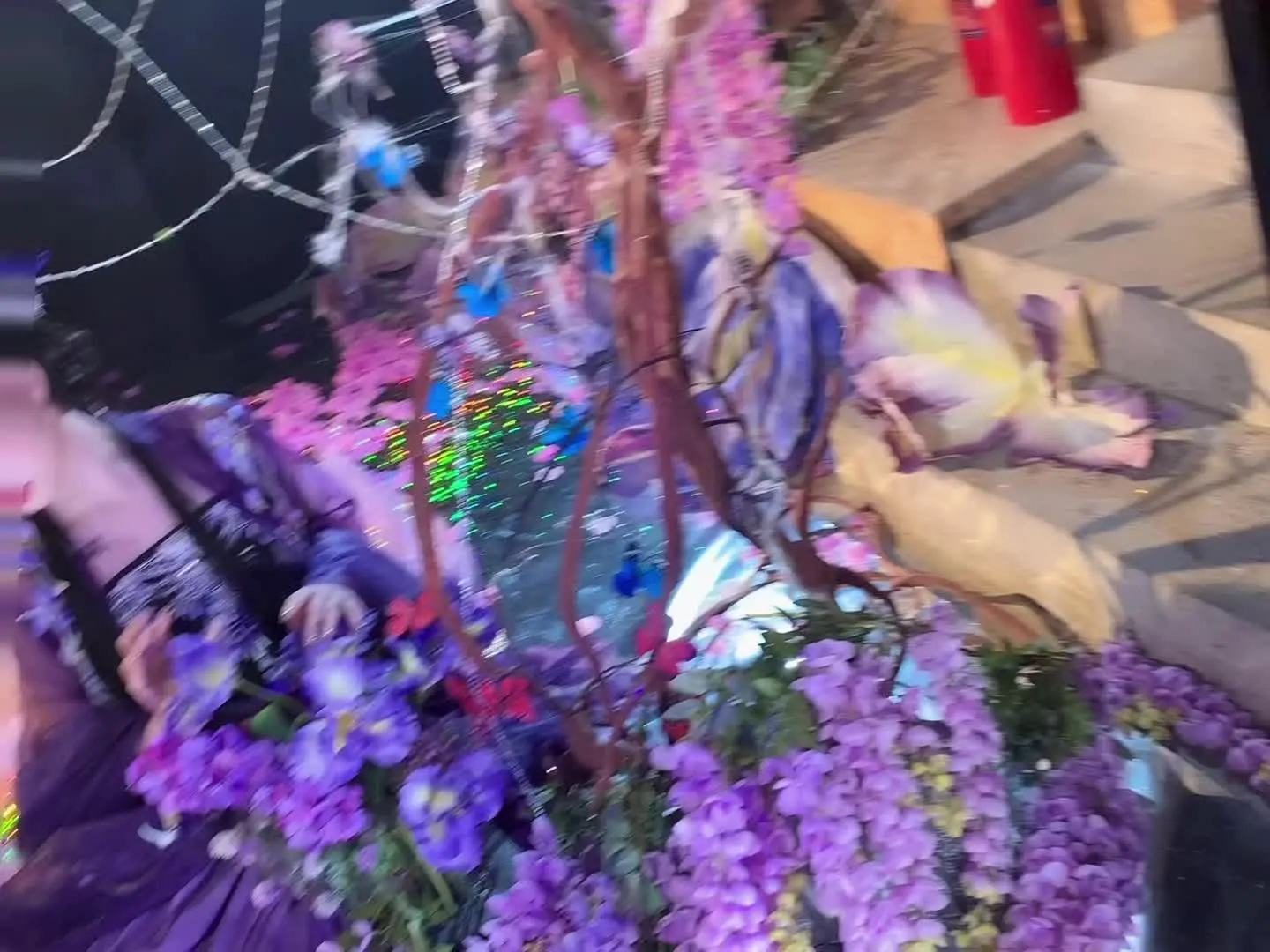 你才是落入我蛛网的蝴蝶🦋 是妖是仙
