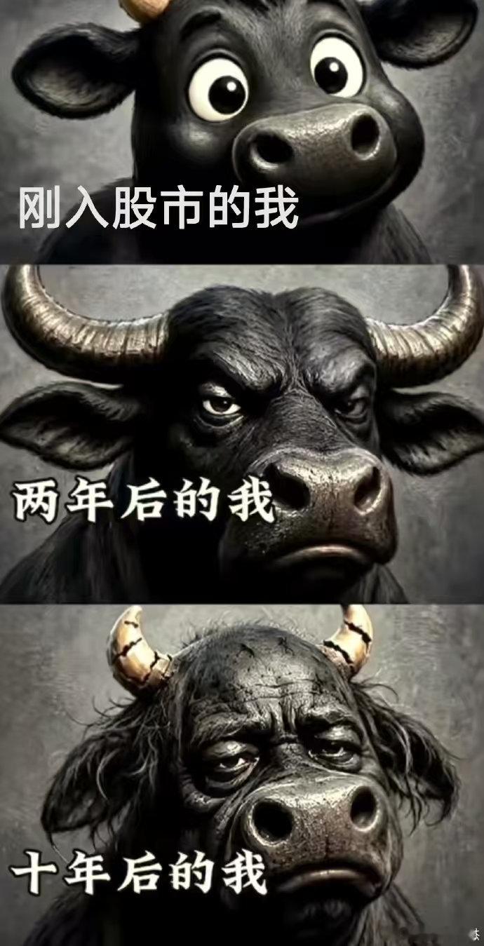 一入股市变疯牛