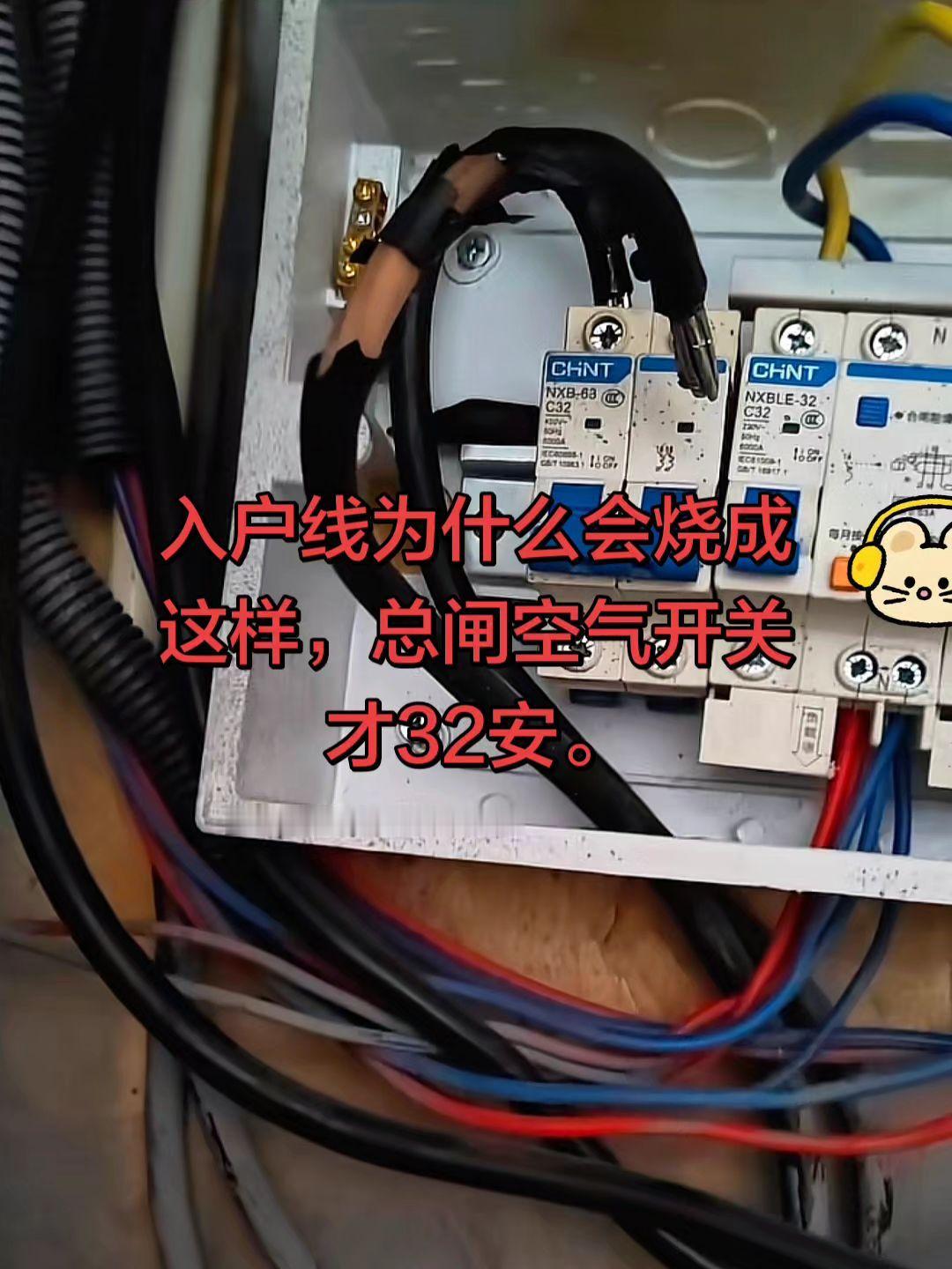 请问大家，强电箱里这么粗的入户线为什么会烧成这样，总闸才32安的空气开关啊，有电