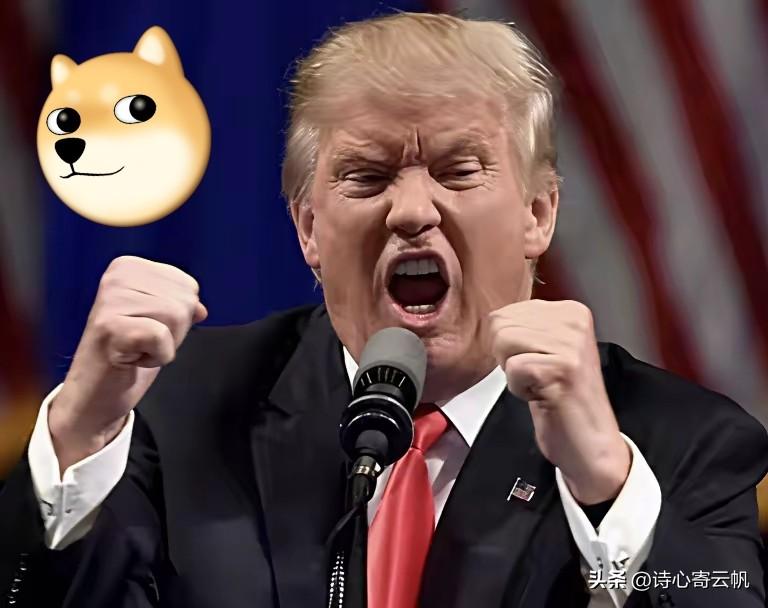 让特朗普恼羞成怒的事出现了
美国盟友北约诸国对美以军事打击伊朗的表态惹怒了特朗普