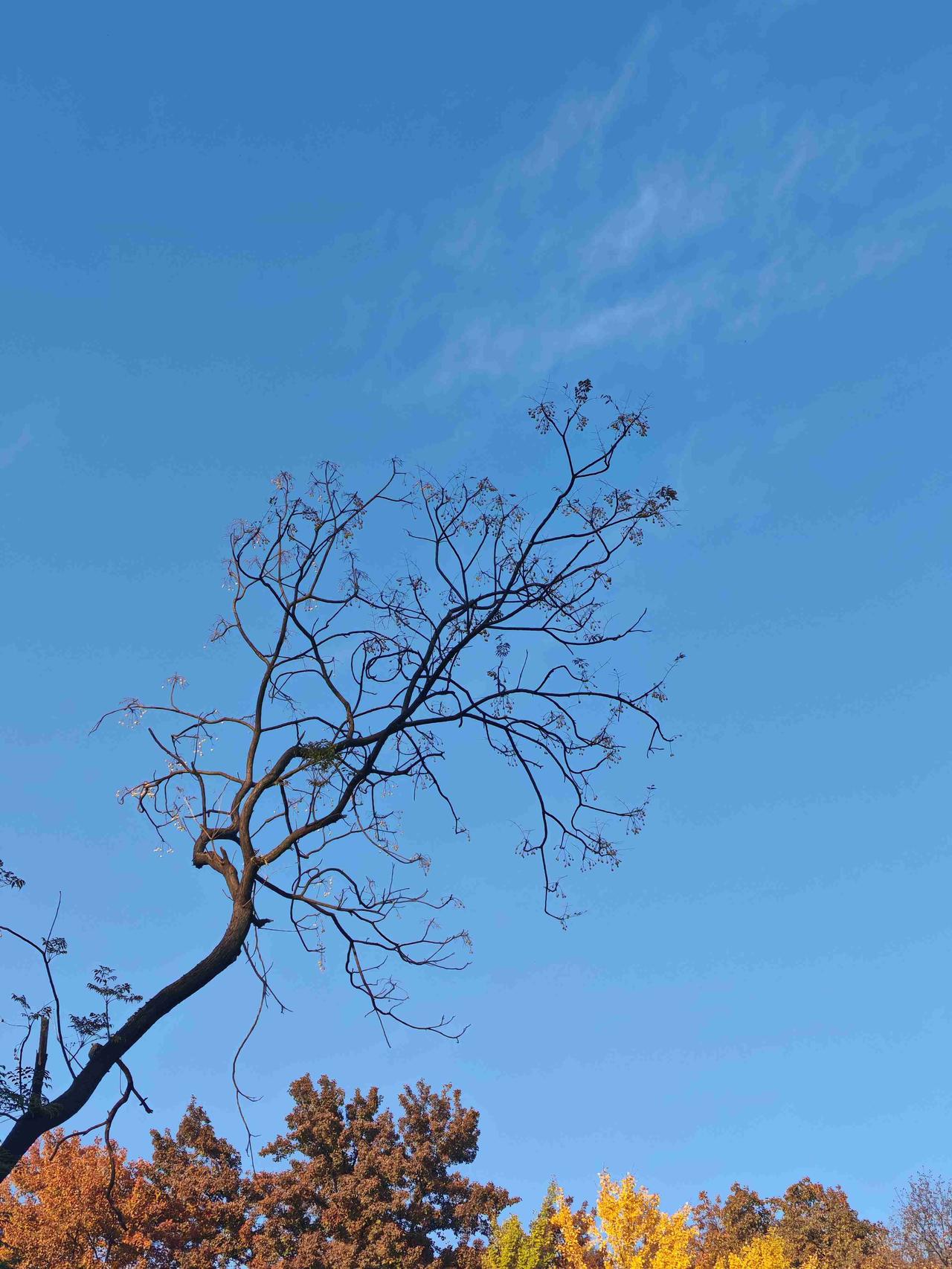 我的今日状态：😁轻松愉快
我这里的天气：☀️晴天