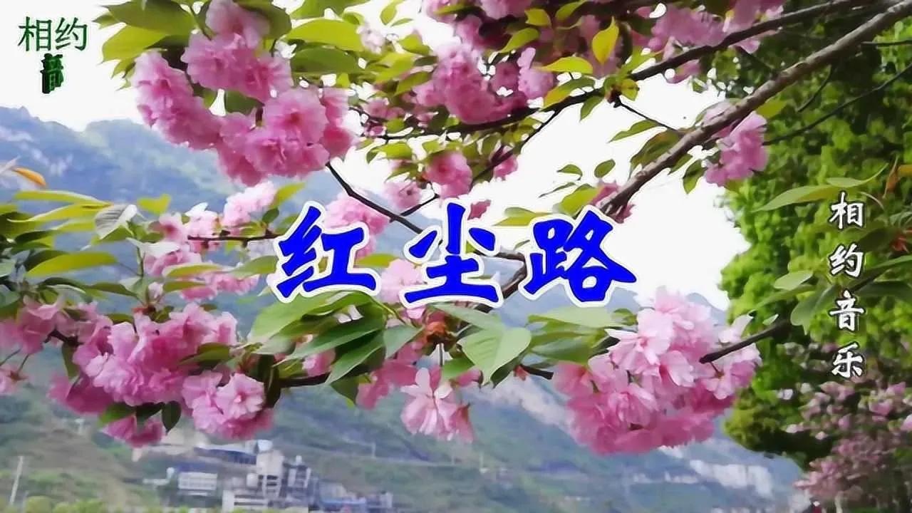 莫向花笺费泪行
（原创/首发）
相思本是无凭语，
红尘路上不比邻。
一日陌路天涯