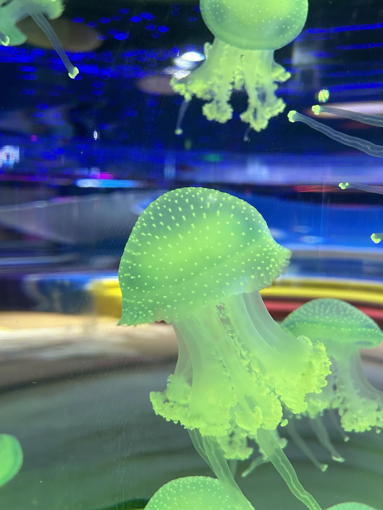 人这一辈子，3件事，烂肚子里！

真的，越活越明白：
有些事，真不能往外说

孩