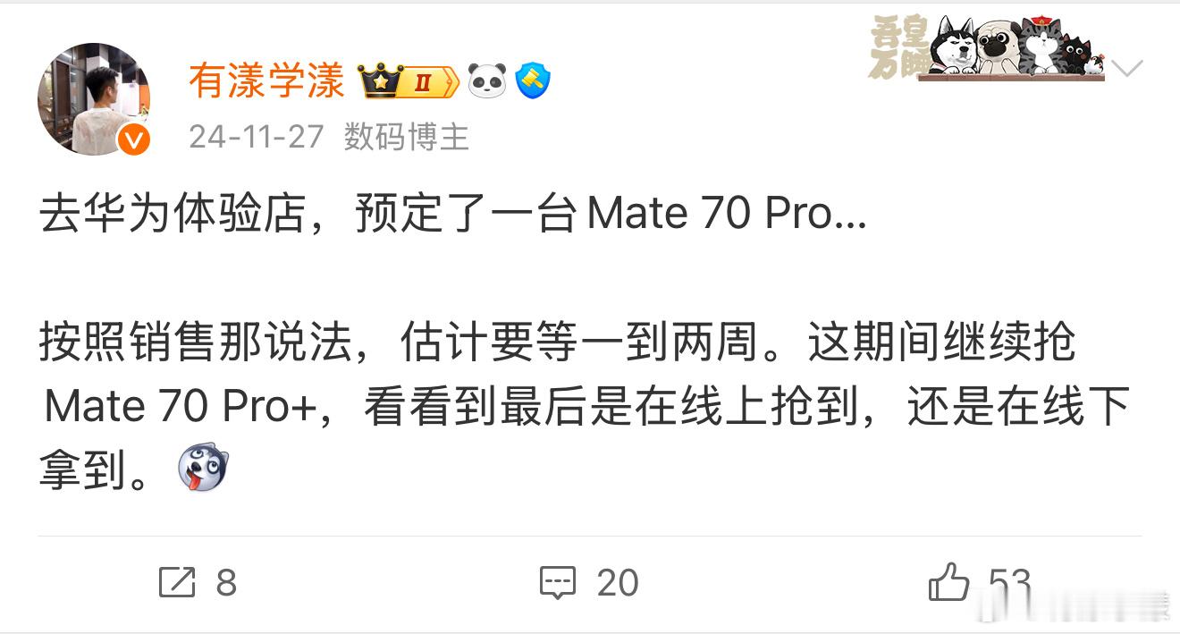 去年十一月底交的定金，今天跟我说，有个Mate 70 Pro+白色的，问我行不行