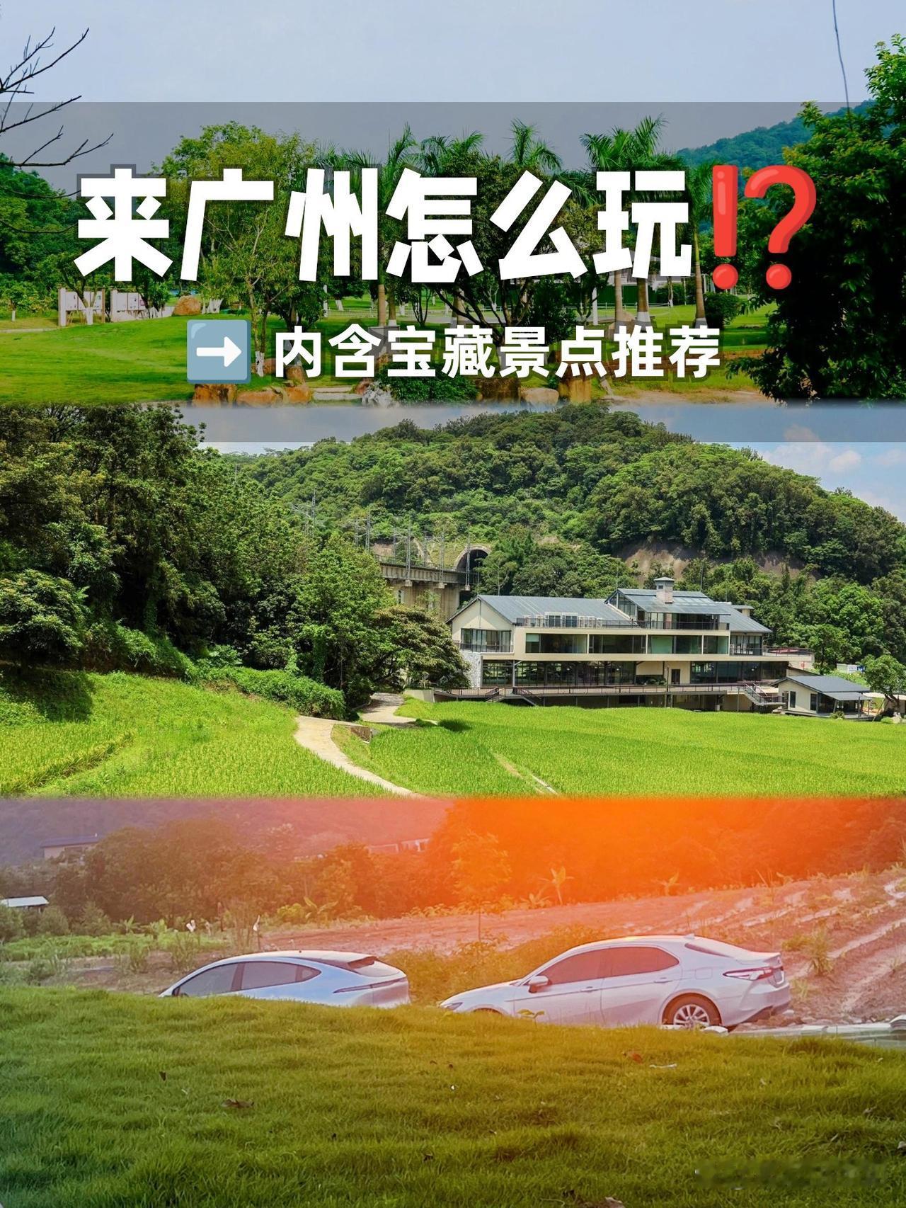 ✨藏在市区的生态秘境｜金坑绿谷全攻略

在市中心发现了一片绿野仙踪！🌿人少景美