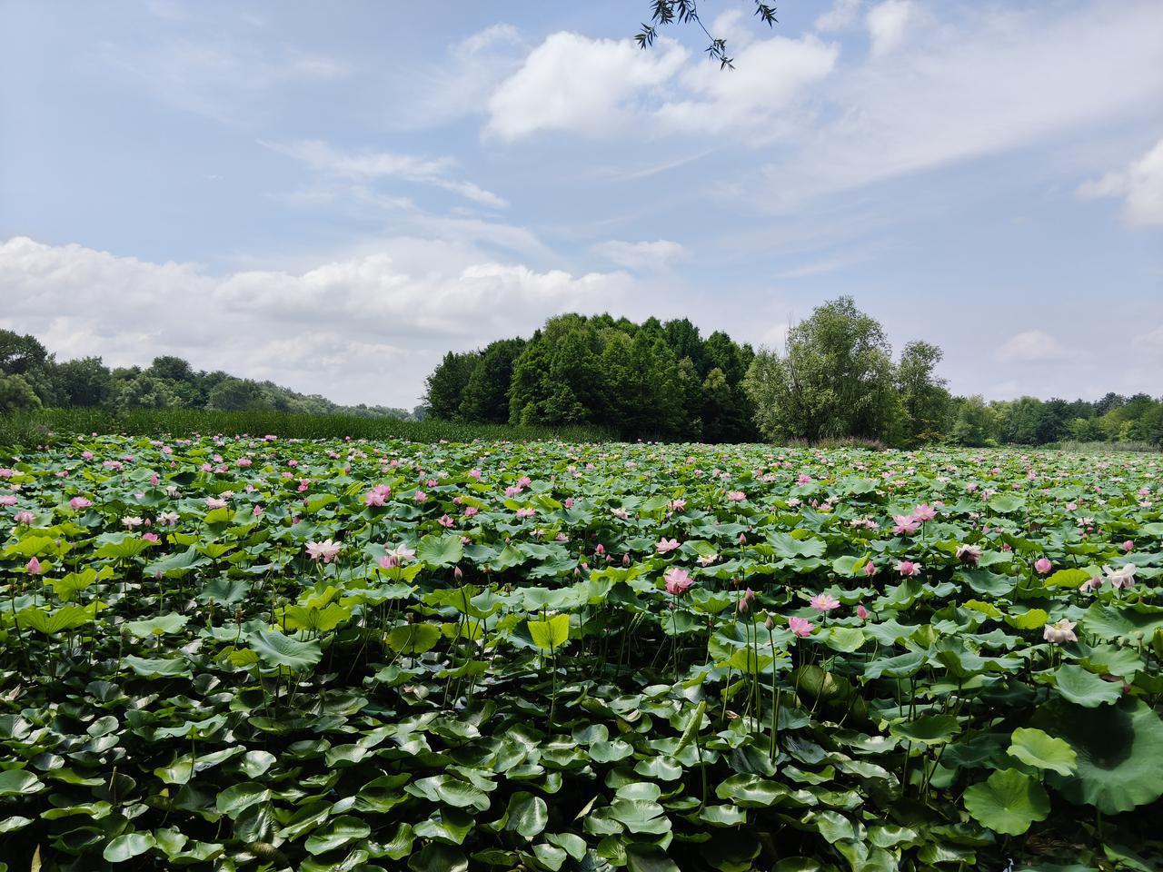 我遇到的势利眼老师

我生活在胶东沿海的小山村，上高中之前，连县城也没去过几次。
