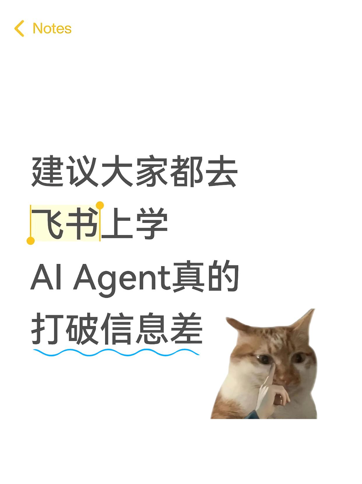 建议大家都去飞书上学AI-Agent，真能打破信息差！！
@AI产品经理必备技能