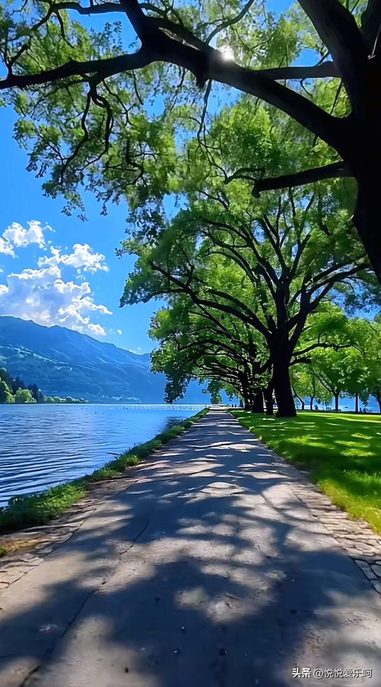 前几天上省城看望我大伯、大妈。大妈今年83岁，大伯90岁。

闲聊中，大妈问我：