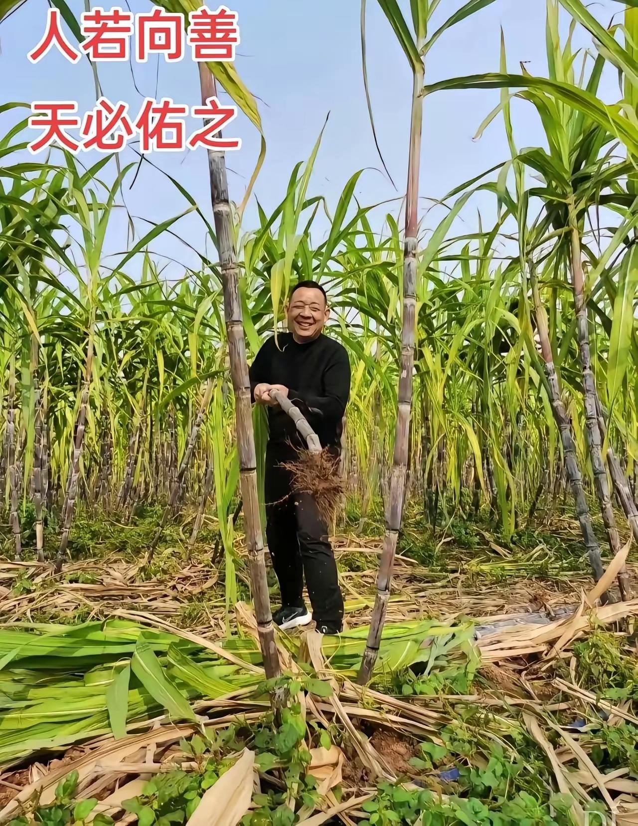 心若向善，天必佑之。