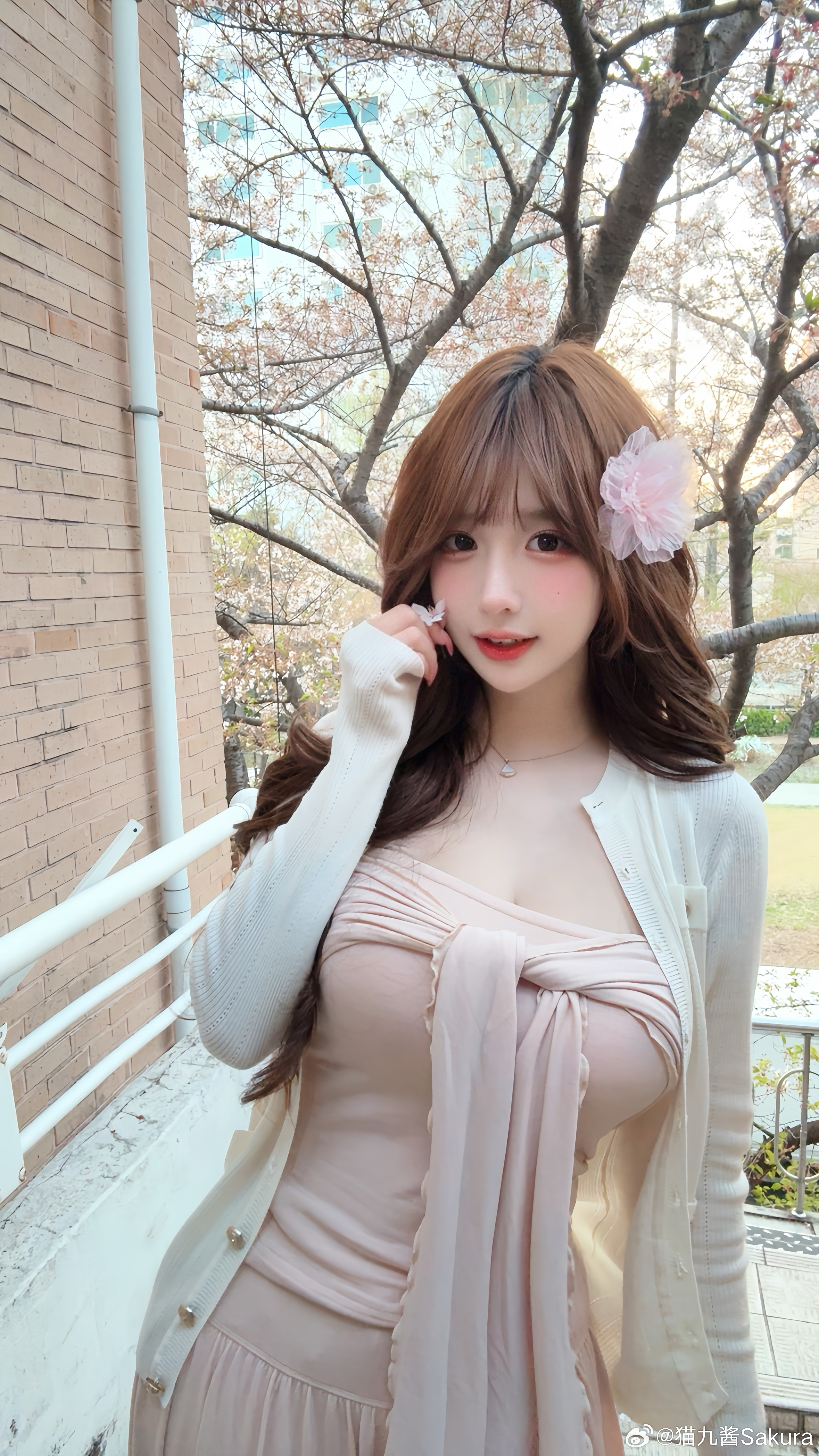🌸 ₊⁺·𖧷 𝖲𝖺𝗄𝗎𝗋𝖺♡·⁺₊ 韩国·Seoul korea