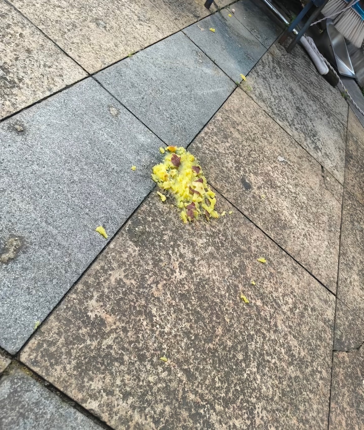 【玉林女子在某华府遭高空丢番薯砸中】近日，网友爆料称：玉林市女子在某华府小区遭遇