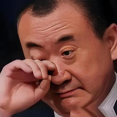 这份担当不容易。有网友曾经感叹，王健林真够狠！身家只剩290亿，却靠不断出售万达