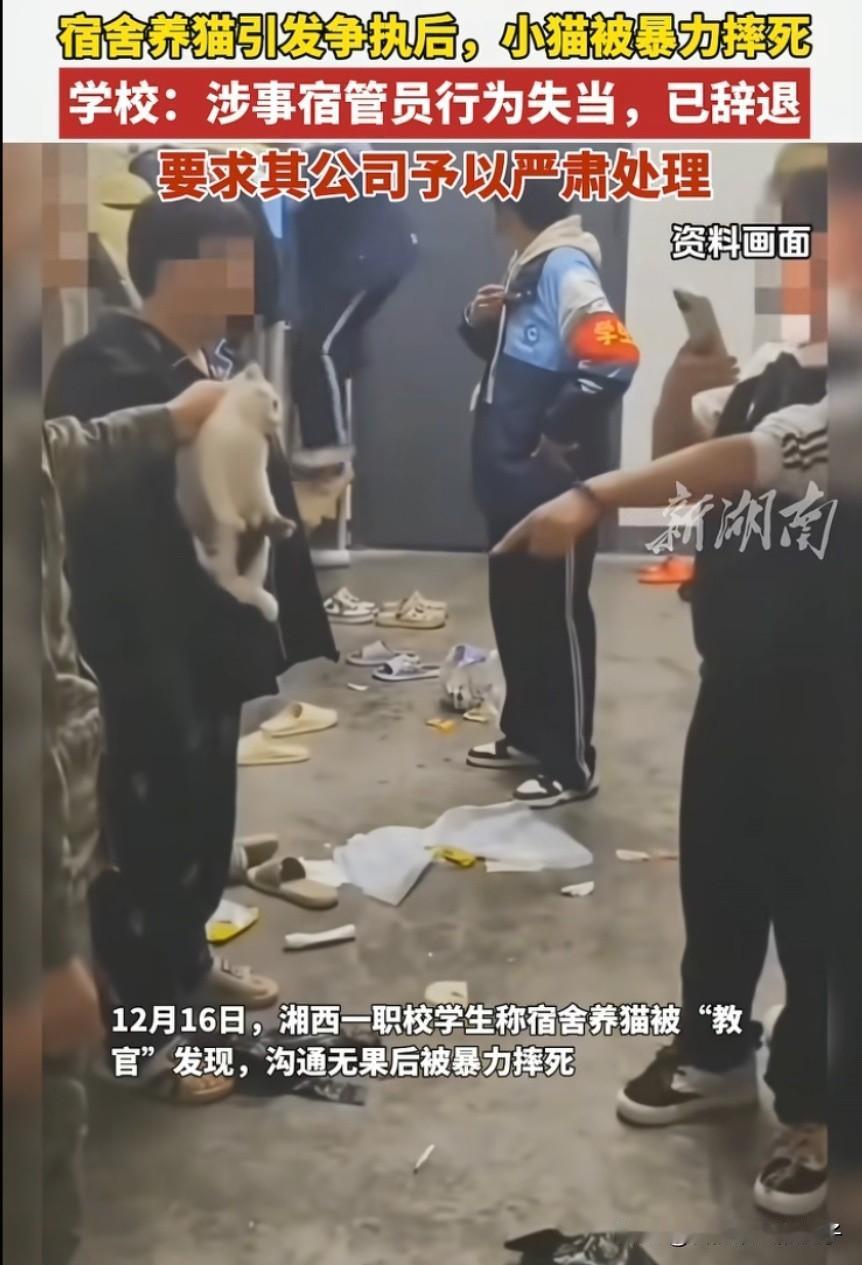 关于摔猫事件后续的处理，只能说这个学校的管理水平真不敢恭维！教官确实该罚，但怂恿