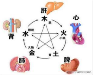 脾虚拉稀多，肝郁放屁多，胃热便秘多，记住三个小方子

第一个，脾虚拉稀多。脾主运