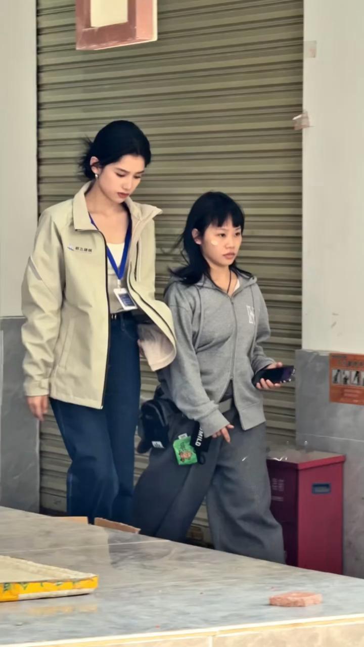 给这个张婧仪接接高质刑侦剧🤲🏻 