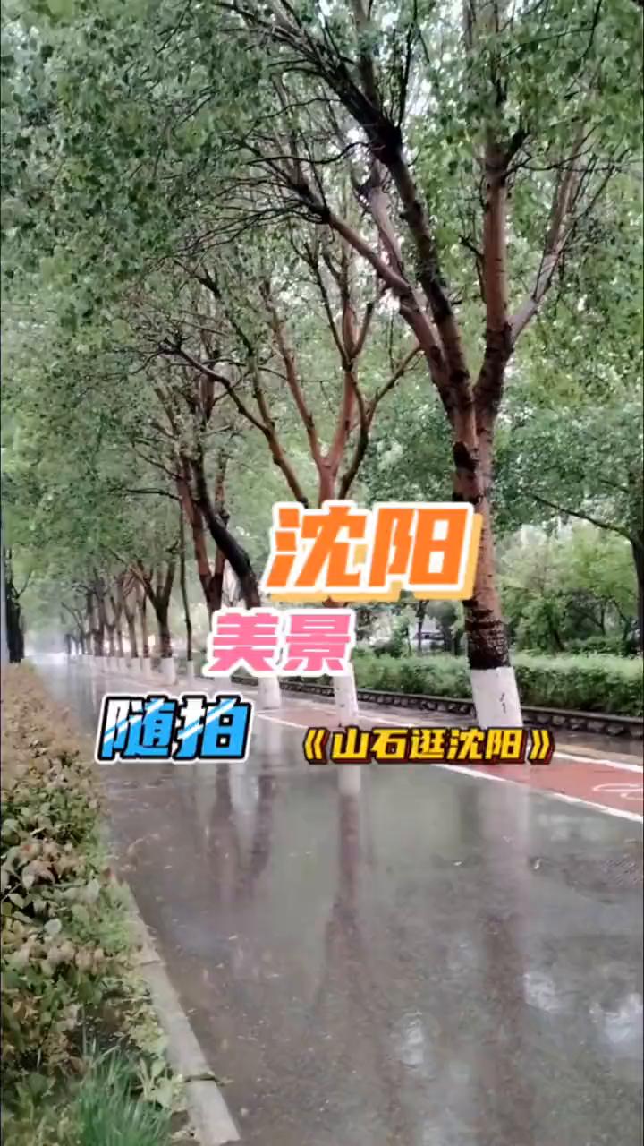 沈阳美景随拍。
《山石逛沈阳》。
