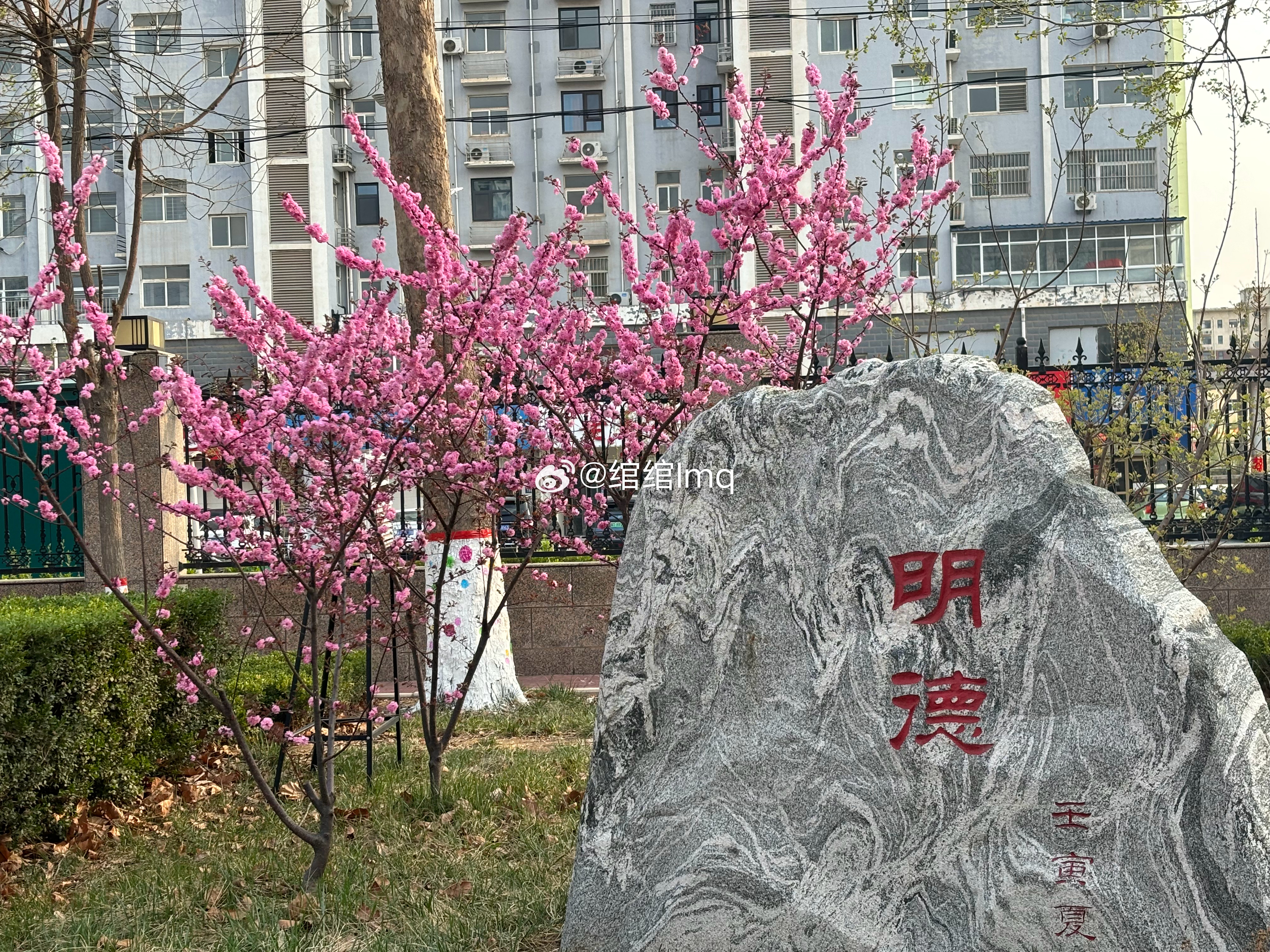 丝芭总裁王子杰校园处处藏着温柔与美好课堂上专注的眼神充满光芒课间时欢快的笑声格外