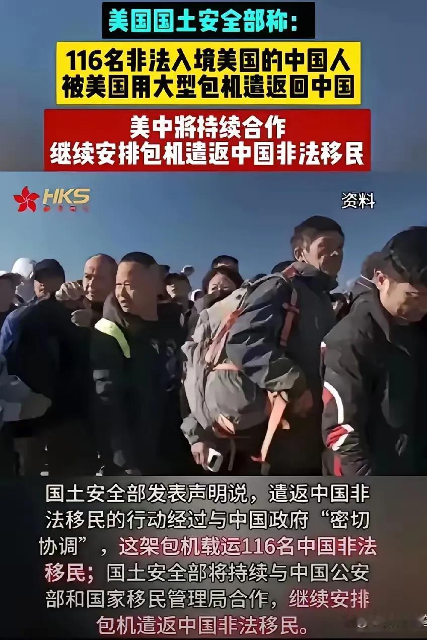 这些被美国强行遣返回来的润人是不是首先应该追究法律责任？毕竟它们不是正常渠道出去
