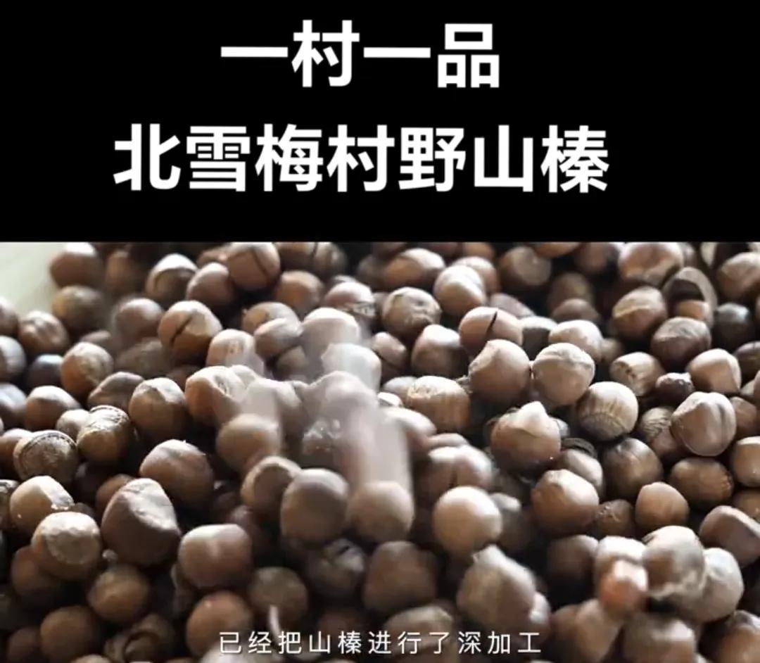 国庆假期品尝美食就来辽宁辽阳，推荐北雪梅村野山榛。
我的家乡辽阳，交通便利，火车