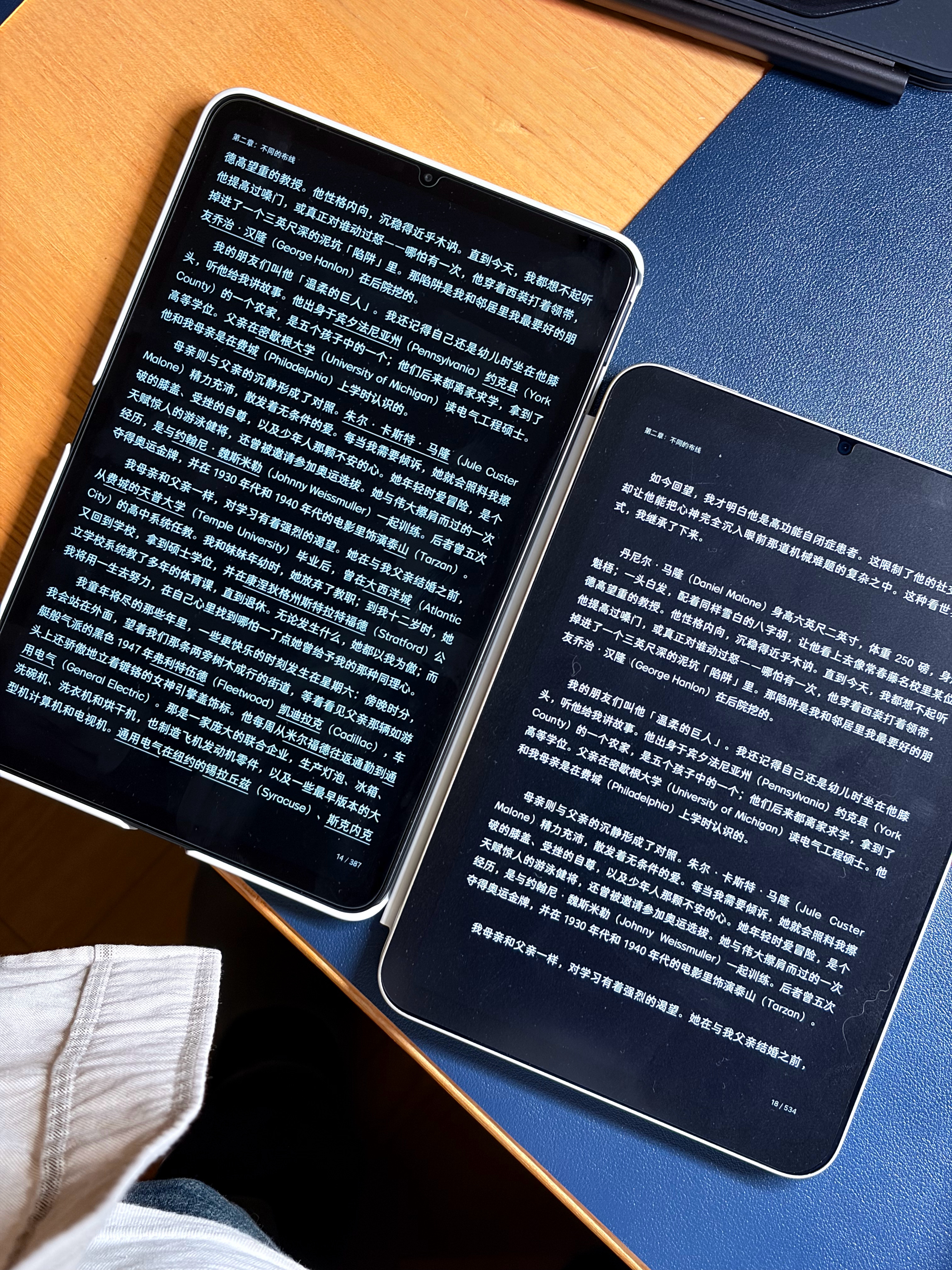 早上说道，最近 vibe 了一个 epub 翻译器。引入了一些自己喜欢的东西，比